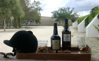 Descanso del paseo